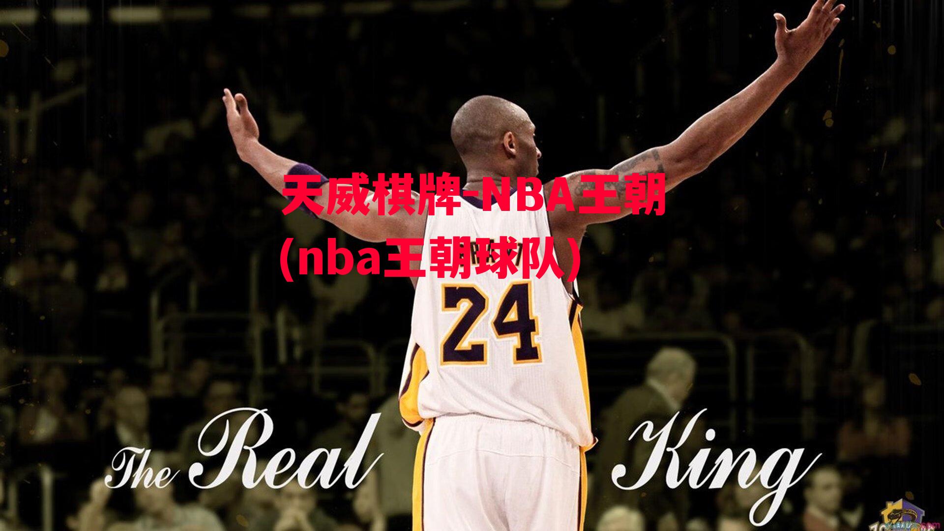 NBA王朝(nba王朝球队)